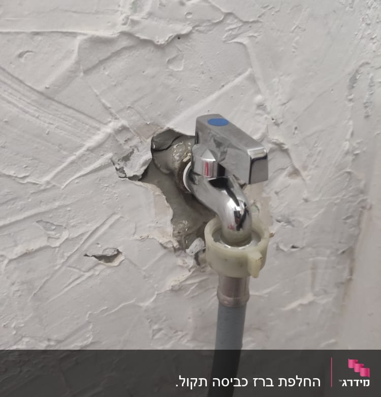 ברז מתכת מחובר לקיר עם צינור גומי